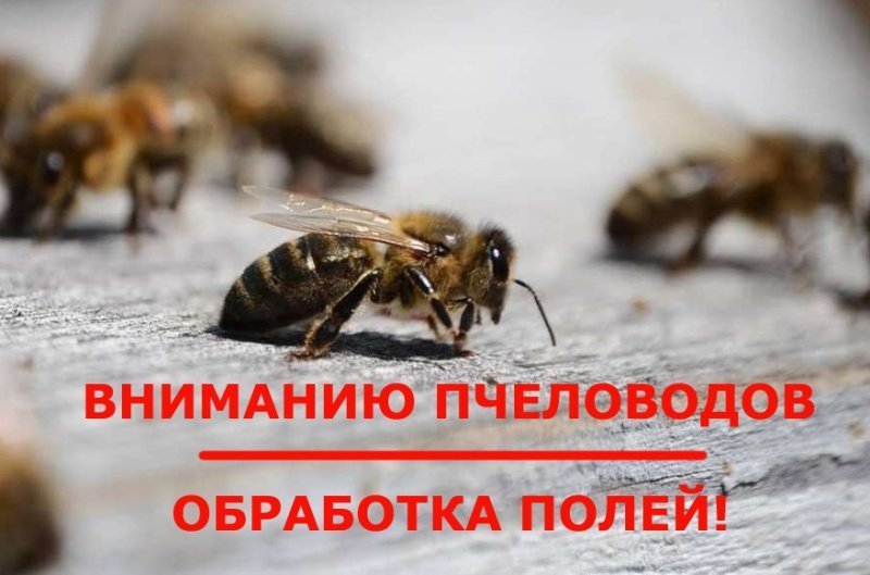 ОБРАБОТКА ПОЛЕЙ.