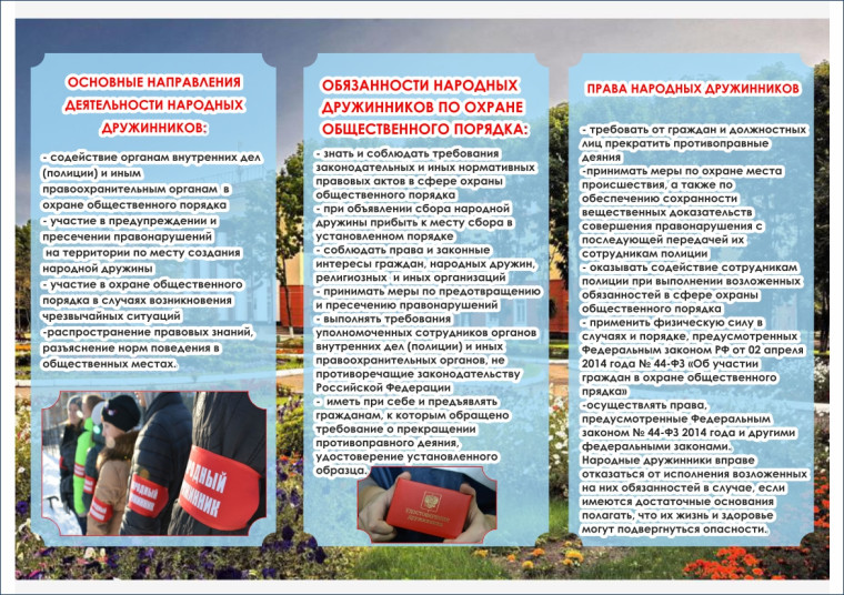 Народная дружина. Народная дружина.