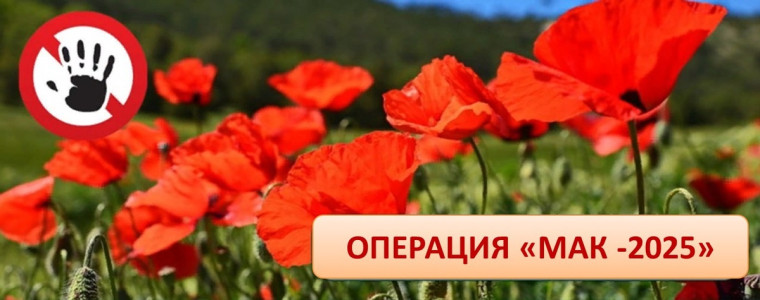 С 14 по 23 июля на территории Саратовской области проводится первый этап межведомственной комплексной оперативно-профилактической операции «Мак - 2025». С 14 по 23 июля на территории Саратовской области проводится первый этап межведомственной комплексной оперативно-профилактической операции «Мак - 2025».